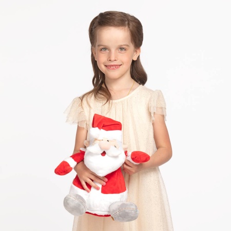 Подарок «Дед Мороз» 600г Стандарт ПТЗ-39с